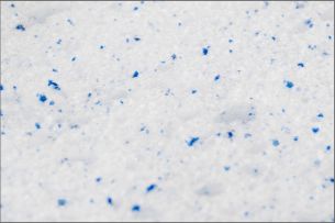 ALMOHADA INNOGEL MAXI 2