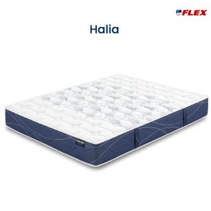 FLEX HALIA